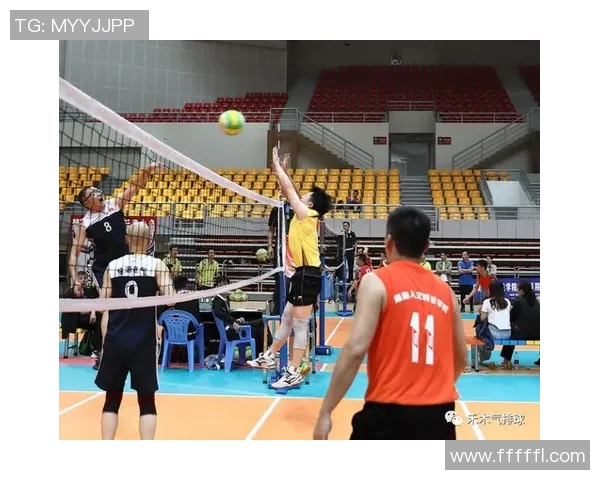 排球盛宴：深入解析广州排球队的战术布局与训练秘诀