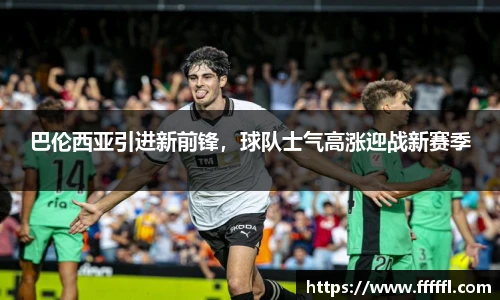 伟德bv国际体育