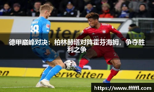 德甲巅峰对决：柏林赫塔对阵霍芬海姆，争夺胜利之争